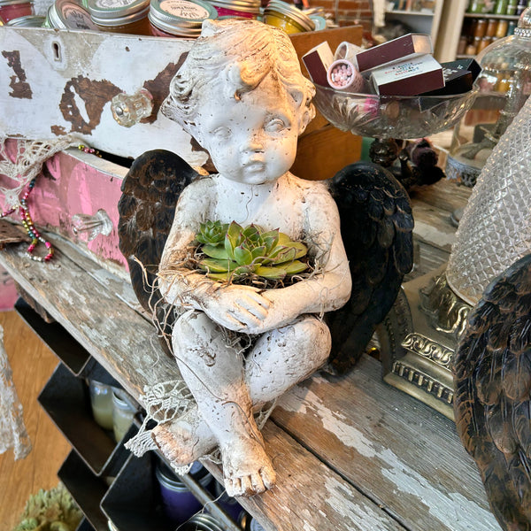 Large Ceramic Cherub SOLD OUT!